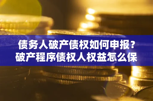 北京债务人破产债权如何申报？破产程序债权人权益怎么保障？
