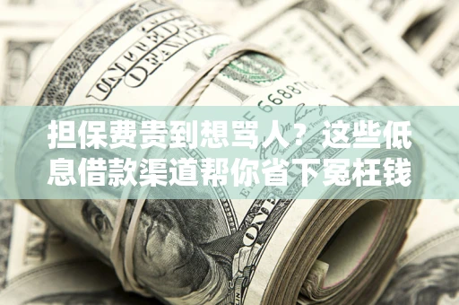 北京担保费贵到想骂人？这些低息借款渠道帮你省下冤枉钱