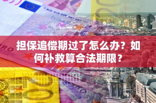 北京担保追偿期过了怎么办？如何补救算合法期限？